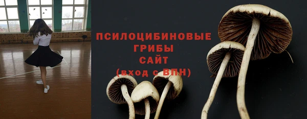 Альфа ПВП Михайлов