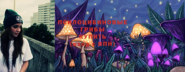 спайс Медвежьегорск