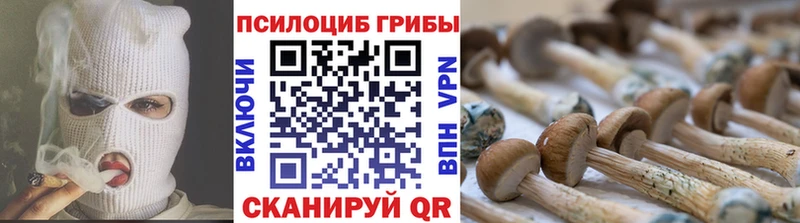 Псилоцибиновые грибы мухоморы Новомичуринск